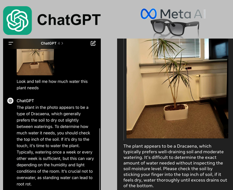 RayBan Meta & AI beta (vs. ChatGPT)