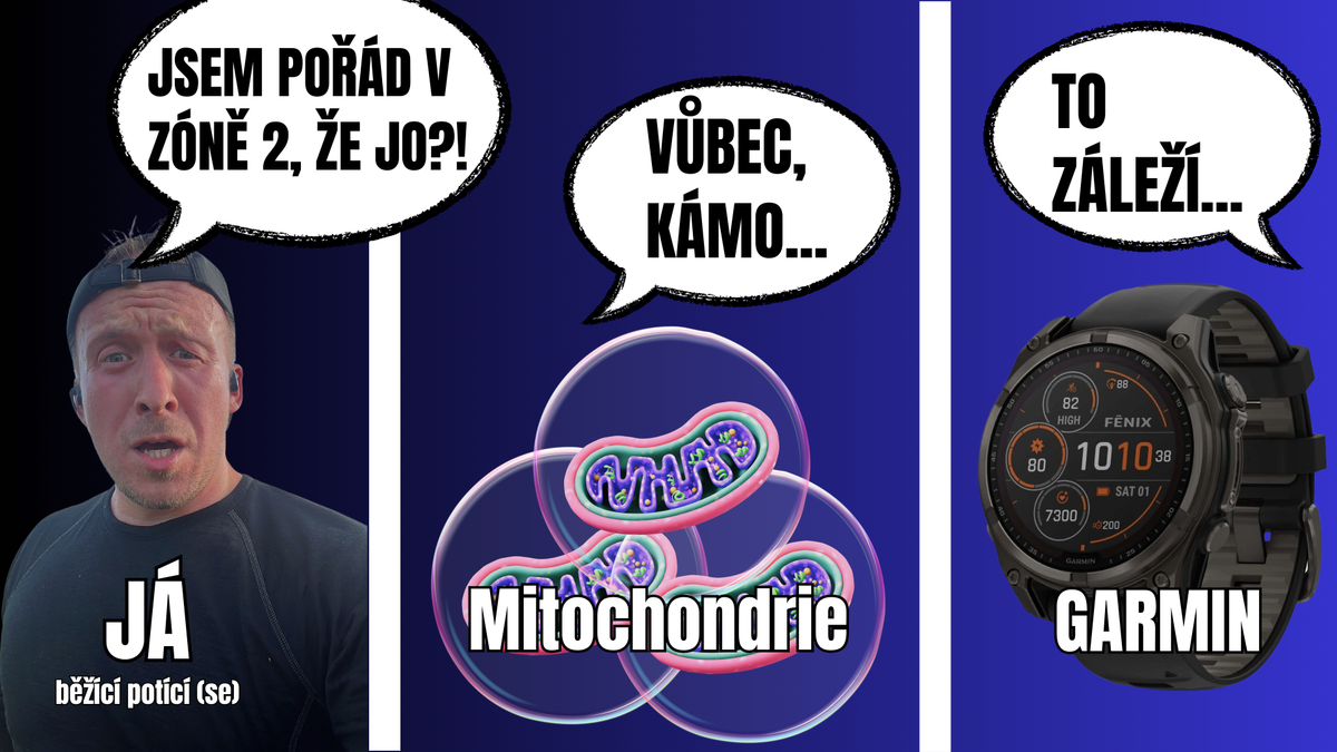 Garmin vs. mitochondrie vs. ZÓNA 2