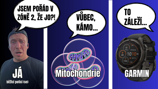 Garmin vs. mitochondrie vs. ZÓNA 2